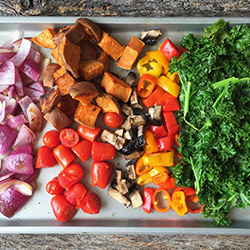 Spicy Queso Balanced Bowls